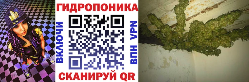 Купить закладку Гашиш  Каннабис  А ПВП  Меф  КОКАИН  Малая Вишера