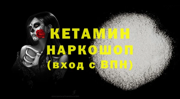гидра Богородск