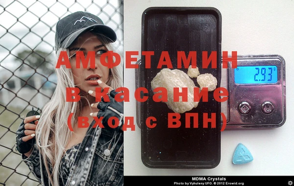 сатива Беломорск