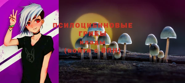 кристаллы Богданович
