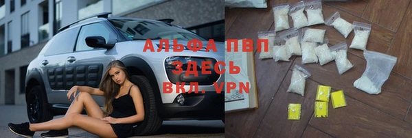 гидра Богородск