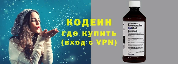 гидра Богородск