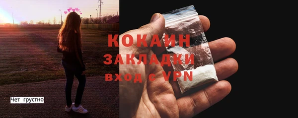 гидра Богородск