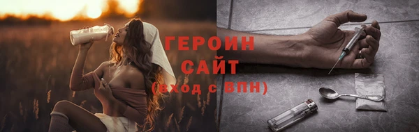 гидра Богородск