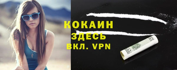 гидра Богородск
