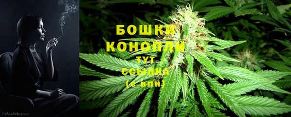 винт Богородицк