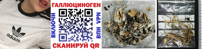 Псилоцибиновые грибы Psilocybe  Купить  Малая Вишера 
