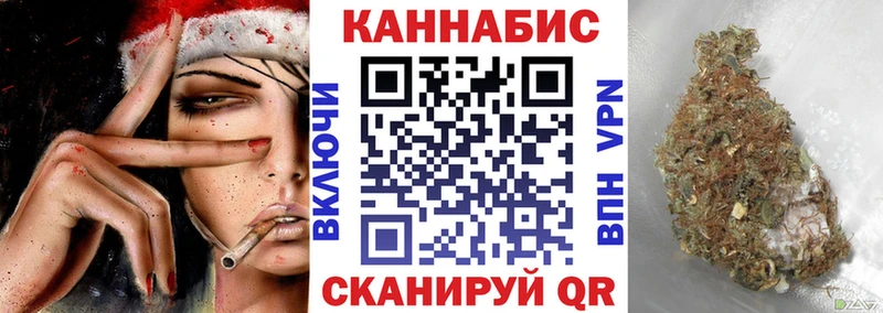 Купить  Малая Вишера  Канабис сатива 
